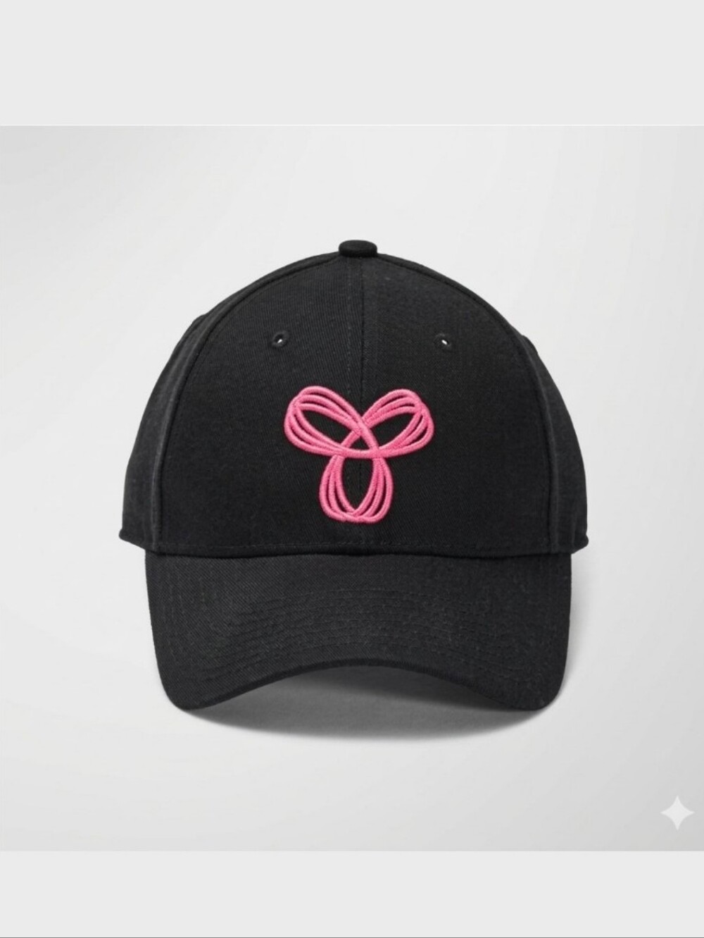 aritzia x Tna baseball cap